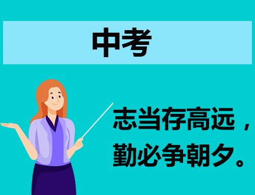 大小球appV2.7专业版